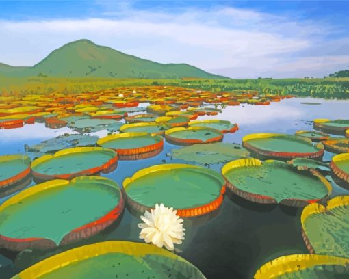 Water Giant Lilies Brazil paint by numbers