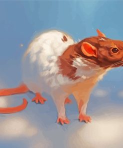 White Brown Rat paint by numbers