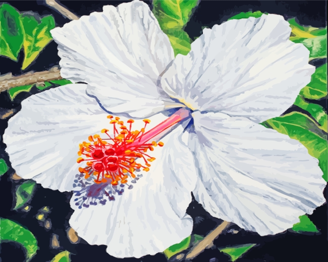 White Hibiscus Flower Art paint by numbers