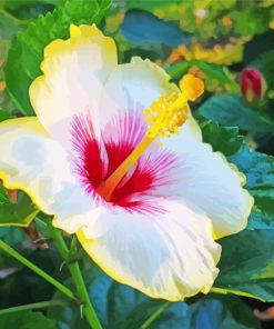 White Yellow Hibiscus paint by numbers