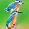 Blue Kingfishers paint by numbers