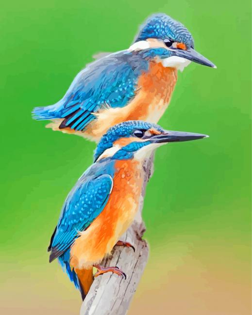 Blue Kingfishers paint by numbers