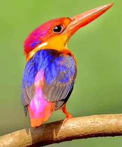Colorful Kingfisher paint by numbers