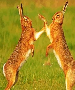 Cute Hares paint by numbers