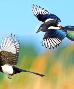 Flying Magpies Birds paint by numbers