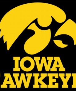 Hawkeyes Illustration paint by numbers