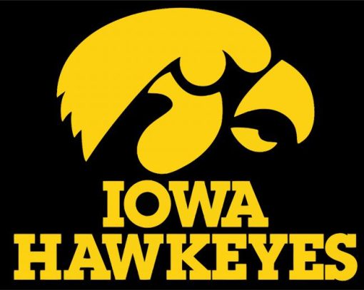 Hawkeyes Illustration paint by numbers