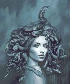 Black And White Medusa paint by numbers