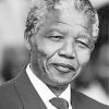 Black and White Nelson Mandela paint by numbers