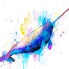 Colors Splash Narwhal paint by numbers