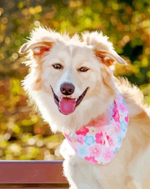 Cute Golden Border Collie paint by numbers