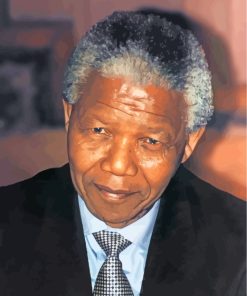 Nelson Mandela paint by numbers