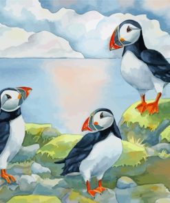 Puffin Birds Family paint by numbers