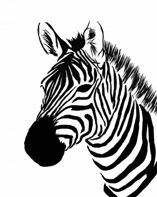 Zebra Head paint by numbers