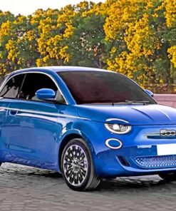 Aesthetic Fiat Car paint by numbers