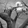 Black And White Spooky Tree paint by numbers