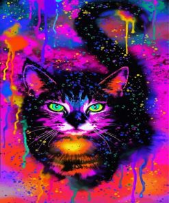 Colorful Cat paint by numbers
