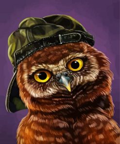Stylish Owl paint by numbers