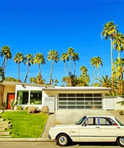 Aesthetic Palm Springs paint by numbers
