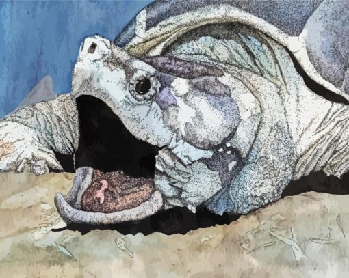 Alligator Snapping Turtle paint by numbers