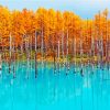Autumn Blue Pond Hokkaido paint by numbers