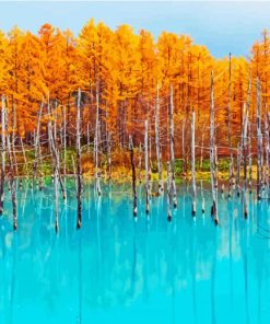 Autumn Blue Pond Hokkaido paint by numbers