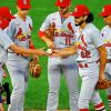 Baseball St Louis Cardinals paint by numbers