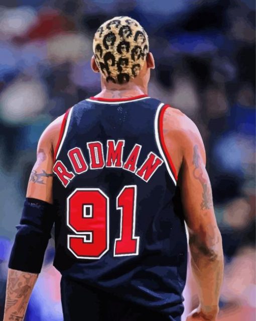 Basketball Player Dennis Rodman paint by numbers