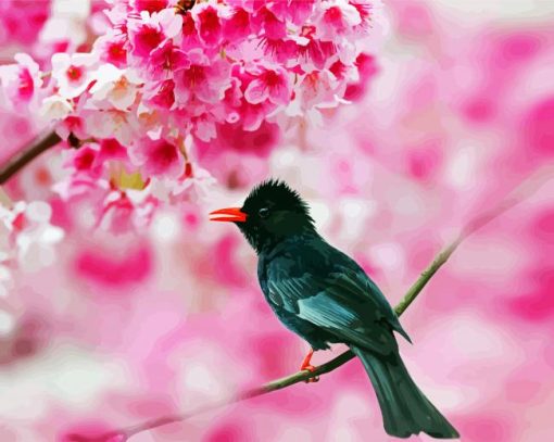 Black Bulbul On Cherry Blossom paint by numbers
