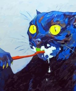 Black Cat With Toothbrush Paint by numbers