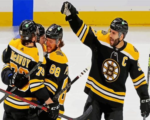 Bruins Ice Hockey Team Players paint by numbers