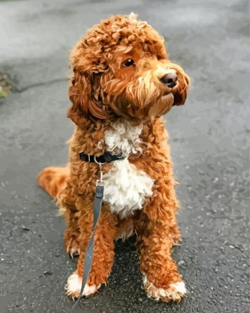 Cute Labradoodle paint by number