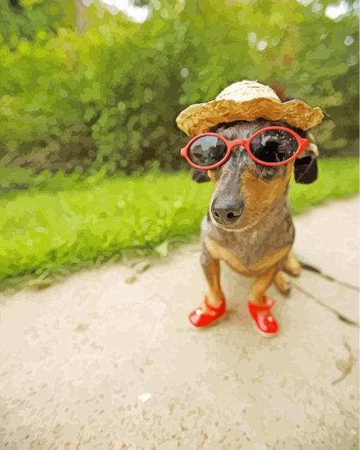 Dachshund With Sunglasses And Hat Paint by number
