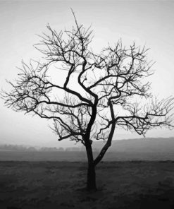 Dark Tree Black And White paint by numbers