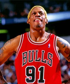 Dennis Rodman Bulls Basketball paint by numbers