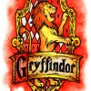 Hogwarts House Gryffindor paint by numbers