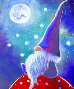 Magical Gnome paint by number