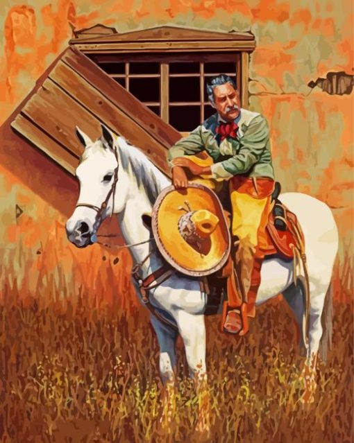 Mexican Cowboy paint by numbers