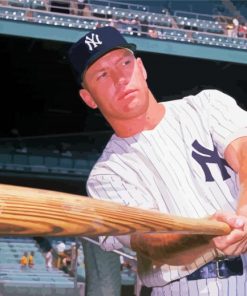 Mickey mantle baseballer paint by number