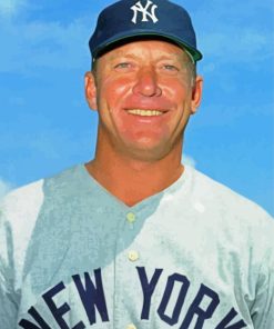 Mickey mantle paint by numbers