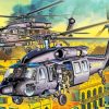 Military Black Hawk Helicopters Paint by numbers