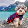 Shichon dog inn banff national park paint by number