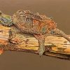 Snapping Turtle Art paint by numbers