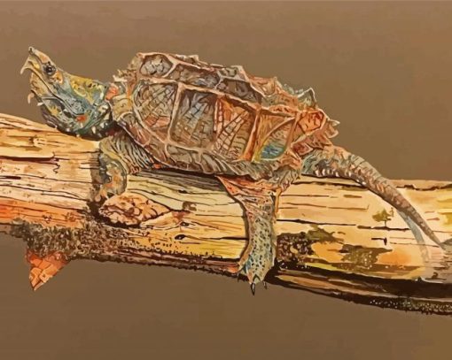 Snapping Turtle Art paint by numbers