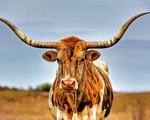 Texas Longhorn Cow paint by numbers
