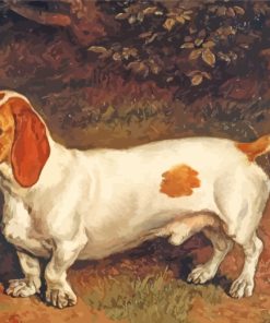 White Brown Dachshund Paint by number