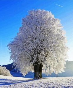 Winter Tree In Snow paint by numbers