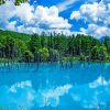 Blue Pond Hokkaido paint by numbers