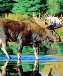 Bull Moose Water paint by numbers