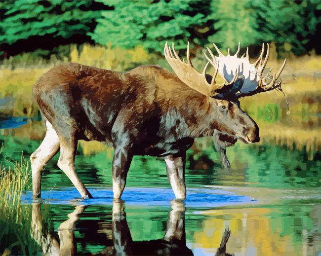 Bull Moose Water paint by numbers